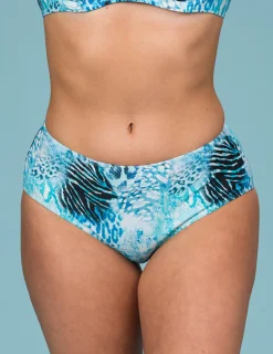 Bikinitrosa aqua animal