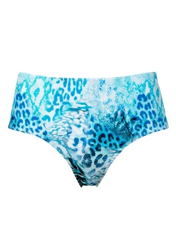 Bikinitrosa aqua animal