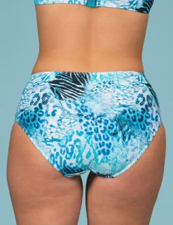 Bikinitrosa aqua animal