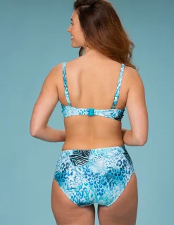 Bikinitrosa aqua animal